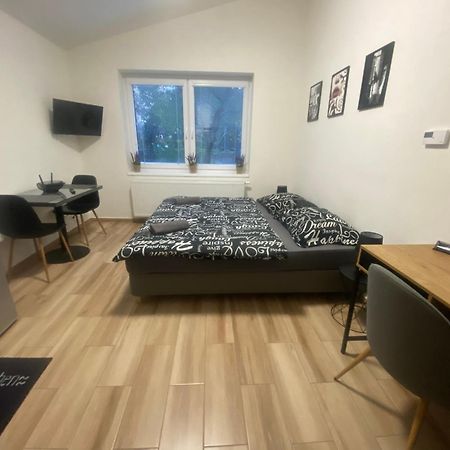 Cerna Ruze - Apartman 7 플젠 외부 사진
