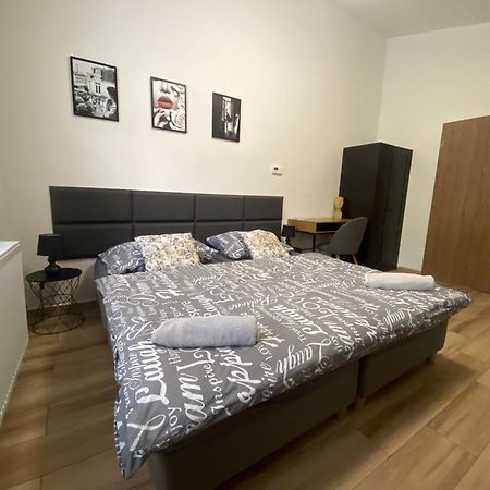 Cerna Ruze - Apartman 7 플젠 외부 사진