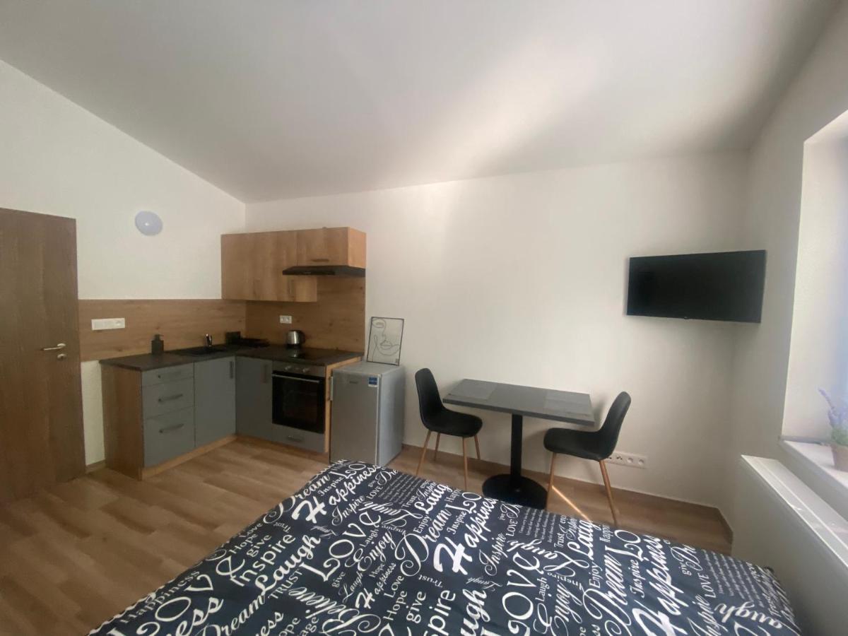 Cerna Ruze - Apartman 7 플젠 외부 사진