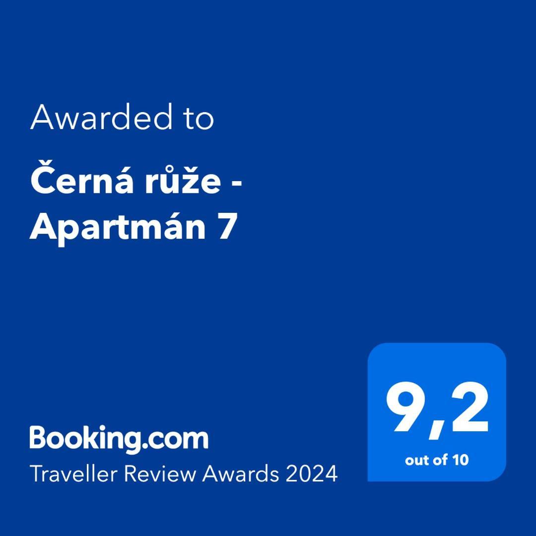 Cerna Ruze - Apartman 7 플젠 외부 사진